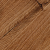chestnut.png