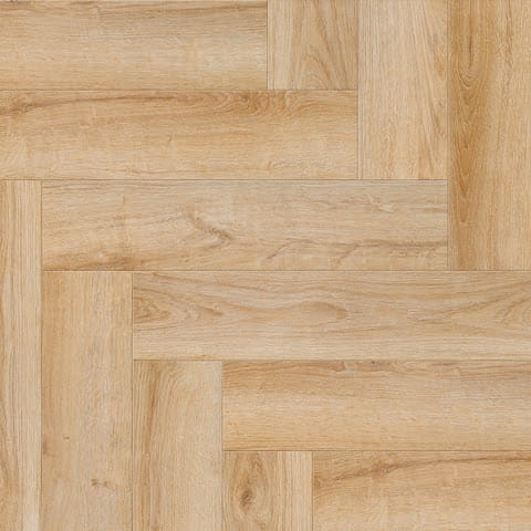 skos2_dab-california (1).jpg