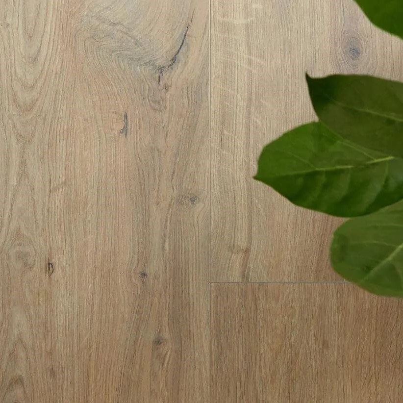berry-alloc-ocean-8-4V-gyant-warm-natural-AC4-8mm-4V-panele-podłogowe-laminowane-wodoodporne-wodoszczelne-piekary-śląskie-bytom-chorzów-tarnowskie-góry-siemianowice-śląskie-ruda-śląska-katowice-tanio-abak-62003080-5414404262950-inspiracje