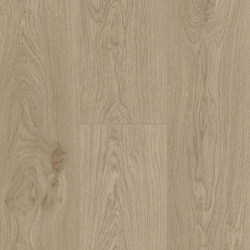 berry-alloc-trend-line-lily-oak-panele-podłogowe-laminowane-AC4-8mm-4V-fuga-piekary-śląskie-bytom-chorzów-siemianowice-śląskie-katowice-tarnowskie-góry-62002273-5414404260451.JPG