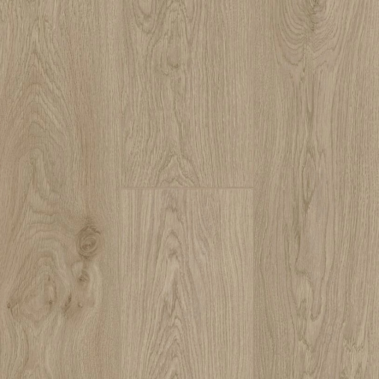 berry-alloc-trend-line-lily-oak-panele-podłogowe-laminowane-AC4-8mm-4V-fuga-piekary-śląskie-bytom-chorzów-siemianowice-śląskie-katowice-tarnowskie-góry-62002273-5414404260451.JPG