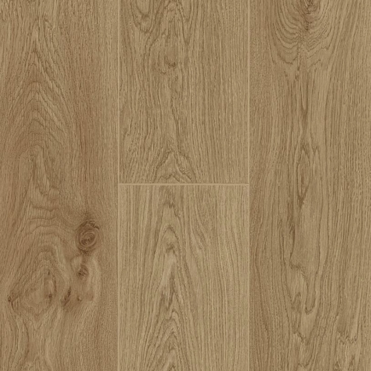 berry-alloc-trend-line-lotus-oak-panele-podłogowe-laminowane-AC4-8mm-4V-fuga-piekary-śląskie-bytom-chorzów-siemianowice-śląskie-katowice-tarnowskie-góry-5414404260383-62002266.JPG