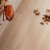 berry-alloc-trend-line-rossini-oak-panele-podłogowe-laminowane-AC4-8mm-4V-fuga-piekary-śląskie-bytom-chorzów-siemianowice-śląskie-katowice-tarnowskie-góry-5414404260444-62002272-wizualizacja.JPG