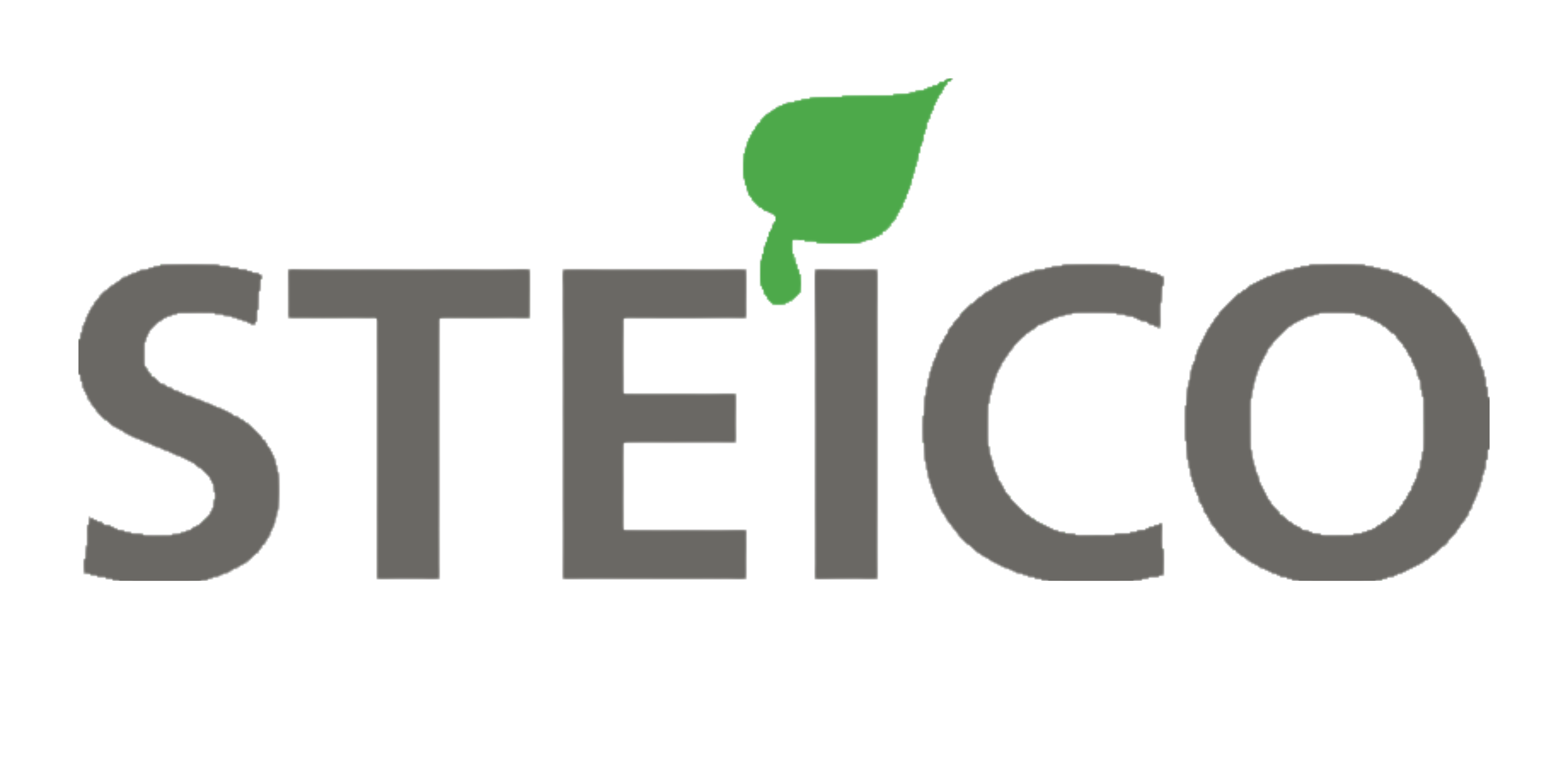 STEICO